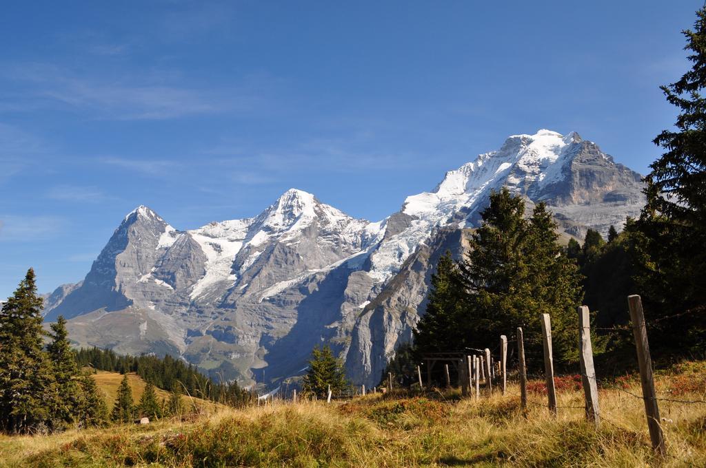 Chalet Bim Chilchli Mürren Esterno foto
