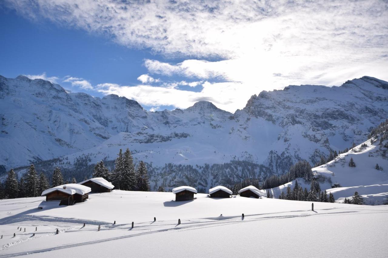 Chalet Bim Chilchli Mürren Esterno foto